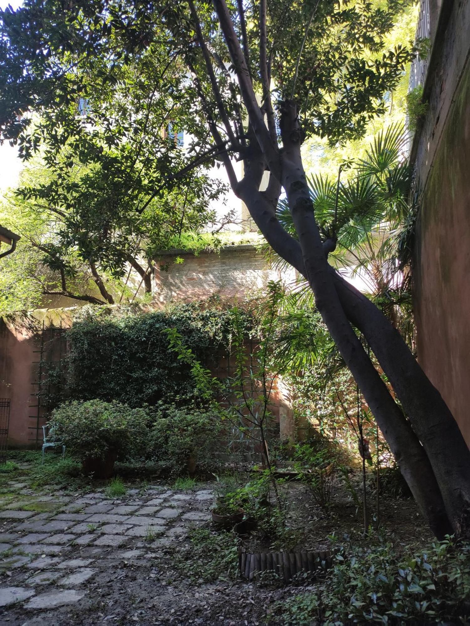 帕多瓦Loft Loggia Al Santo公寓 外观 照片